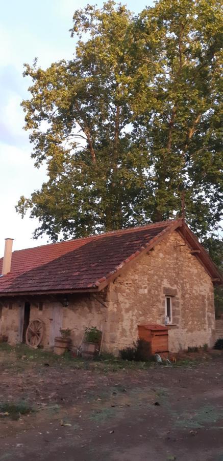 Le Gite De Gracio Vic-Fezensac Esterno foto